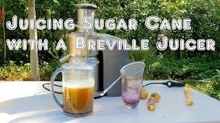 How to Juice Sugar Cane with a Breville Juicer [upl. by Meletius530]