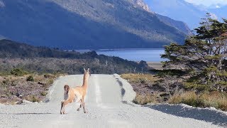 Tierra del Fuego Chile [upl. by Einnek405]