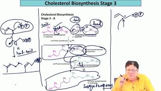 Biosynthesis of Gibberelins [upl. by Irmo234]