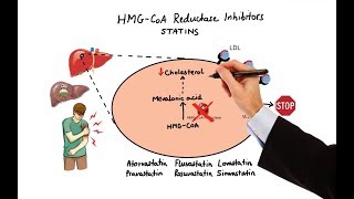 Pharmacology  DRUGS FOR HYPERLIPIDEMIA MADE EASY [upl. by Seilenna43]