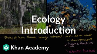 Ecology introduction  Ecology  Khan Academy [upl. by Daveen]