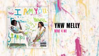 YNW Melly  Wine 4 Me Official Audio [upl. by Otiv]