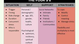 Schlossberg Transitions Theory [upl. by Davies]