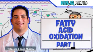 Metabolism  Fatty Acid Oxidation Part 1 [upl. by Houlberg]