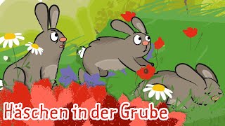 Häschen in der Grube  Kinderlieder  die kleine Eule amp ihre Freunde [upl. by Annahsed162]