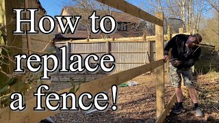 HOW to REPLACE an old FEATHER EDGE FENCE [upl. by Solrac]