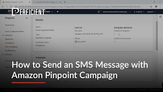 How to Send an SMS Message with Amazon Pinpoint Campaign Demo [upl. by Eynttirb]