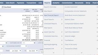 NetSuite  Financial Reports Overview [upl. by Issim]