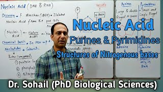 Nucleic Acid  Purine amp Pyrimidines  Nucleotide amp Nucleoside  Differences between DNA amp RNA [upl. by Aedrahs]