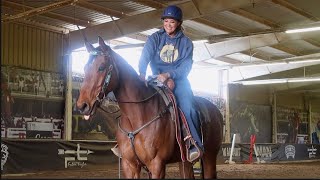 RIDING MY OTTB FOR THE FIRST TIME New horse [upl. by Resor]