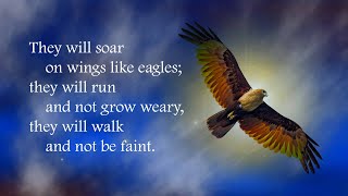 Soar on wings like eagles Isaiah 402831 [upl. by Coco394]