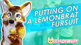 How To Wear A Lemonbrat Fursuit [upl. by Carie]