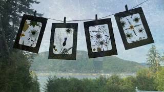 NATURE CRAFT FOR KIDS  SUNCATCHERS [upl. by Acirt741]