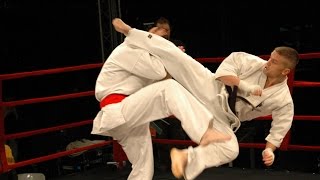 Best Kyokushin Karate KO in History [upl. by Hardie]