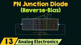 PN Junction Diode ReverseBias Condition [upl. by Yeldnarb]