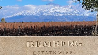 BEMBERG ESTATE WINE  GUALTALLARY  MENDOZA [upl. by Etselec]