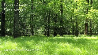 숲속 소리와 함께 듣는 피아노 찬양 3시간  Forest Sounds Piano Worship  찬양 묵상 by 미니뮤직 중간광고없음 [upl. by Olette]