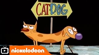 CatDog  Theme Tune with Lyrics  Nickelodeon UK [upl. by Dorette181]