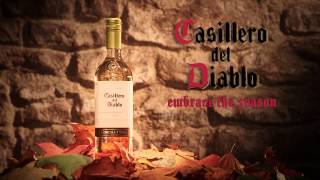 Casillero del Diablo Packshot SLog vs Grade [upl. by Darach]