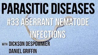 Parasitic Diseases Lectures 33 Aberrant Nematode Infections [upl. by Skardol]