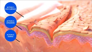 Hyaluronic Acid Boosting Serum Mechanism of Action [upl. by Hasheem]