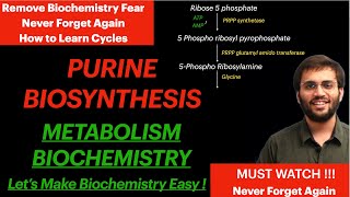 Purine Synthesis  Biochemistry  Purine Metabolism Video [upl. by Naam]