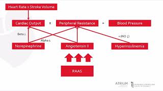 Hypertension Guidelines Explained Clearly  2017 HTN Guidelines [upl. by Donetta]