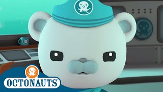 Octonauts  Captains Super Adventures  Cartoons for Kids  Underwater Sea Education [upl. by Nauj]