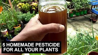 5 Homemade Pesticide For All Your Plants I Step By Step Procedures [upl. by Onimixam]