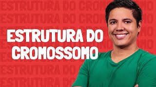 Estrutura do Cromossomo  Prof Kennedy Ramos [upl. by Sirapal]