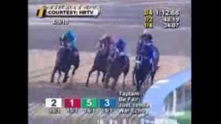 Zenyatta Greatest Race Horse Of All Time Montage  All 19 Wins [upl. by Randa280]