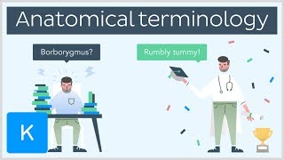 Why you need anatomical terminology as a healthcare professional  series intro  Kenhub [upl. by Furgeson]