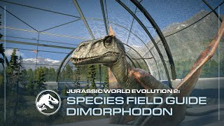 Species Field Guide  Dimorphodon  Jurassic World Evolution 2 [upl. by Desiri]