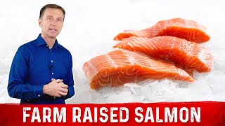 Problems with Farm Raised Salmon – Dr Berg on Farmed Salmon vs Wild Salmon [upl. by Nivra]