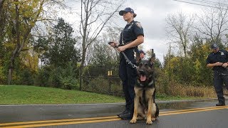 Police Dog Training your best friend [upl. by Elleved]