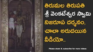 Tirumala Venkateswara Swamy Temple abhishekam real video [upl. by Ellingston]