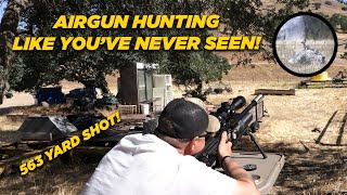 Airgun Hunting Like Youve Never Seen [upl. by Simeon]