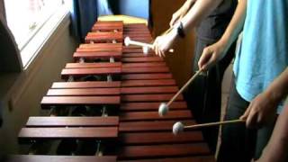 Zelda Ocarina of Time  Sarias Song on Marimba [upl. by Abbotson158]