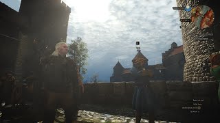 The Witcher 3 NextGen RTX Maximum settings RTX 3090 Ti [upl. by Virg]