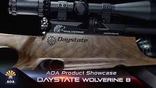 Daystate Wolverine B 22 Air Rifle Product Showcase [upl. by Gylys]