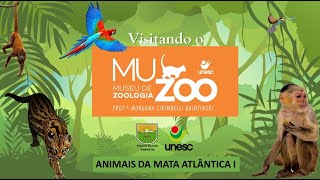 Animais da Mata Atlântica Descubra as Espécies Fascinantes de Nosso Bioma  MuZoo Unesc [upl. by Manon]