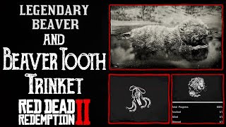 Legendary Beaver Location RDR2  Beaver Tooth Trinket  Reduce Weapon Degradation by 10 [upl. by Idnac137]