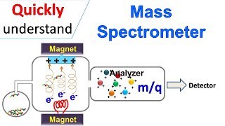 Mass spectrometry [upl. by Owen140]