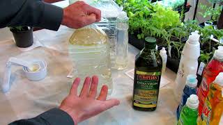 How to Make Neem Oil Smothering Insect Oil and Fungicide Sprays Recipes amp Routines DIY Ep4 [upl. by Maddox]