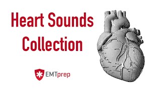 Heart Sounds Collection  EMTprepcom [upl. by Henriette345]