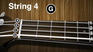 How to tune a Ukulele  Ukulele tuning video  gCEA [upl. by Tandi]