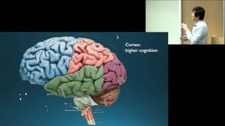 Signs and Symptoms of a Brain Tumor  DanaFarber Cancer Institute [upl. by Otilrac]