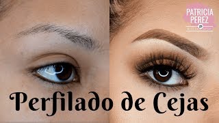 Tutorial de Perfilado de cejas  PASO A PASO [upl. by Nic]