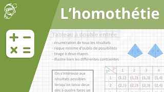 Alloprof  Lhomothétie [upl. by Westlund]