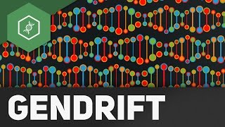 Gendrift  Flaschenhalseffekt Gründereffekt – Evolutionsfaktoren 2 [upl. by Ylirama]